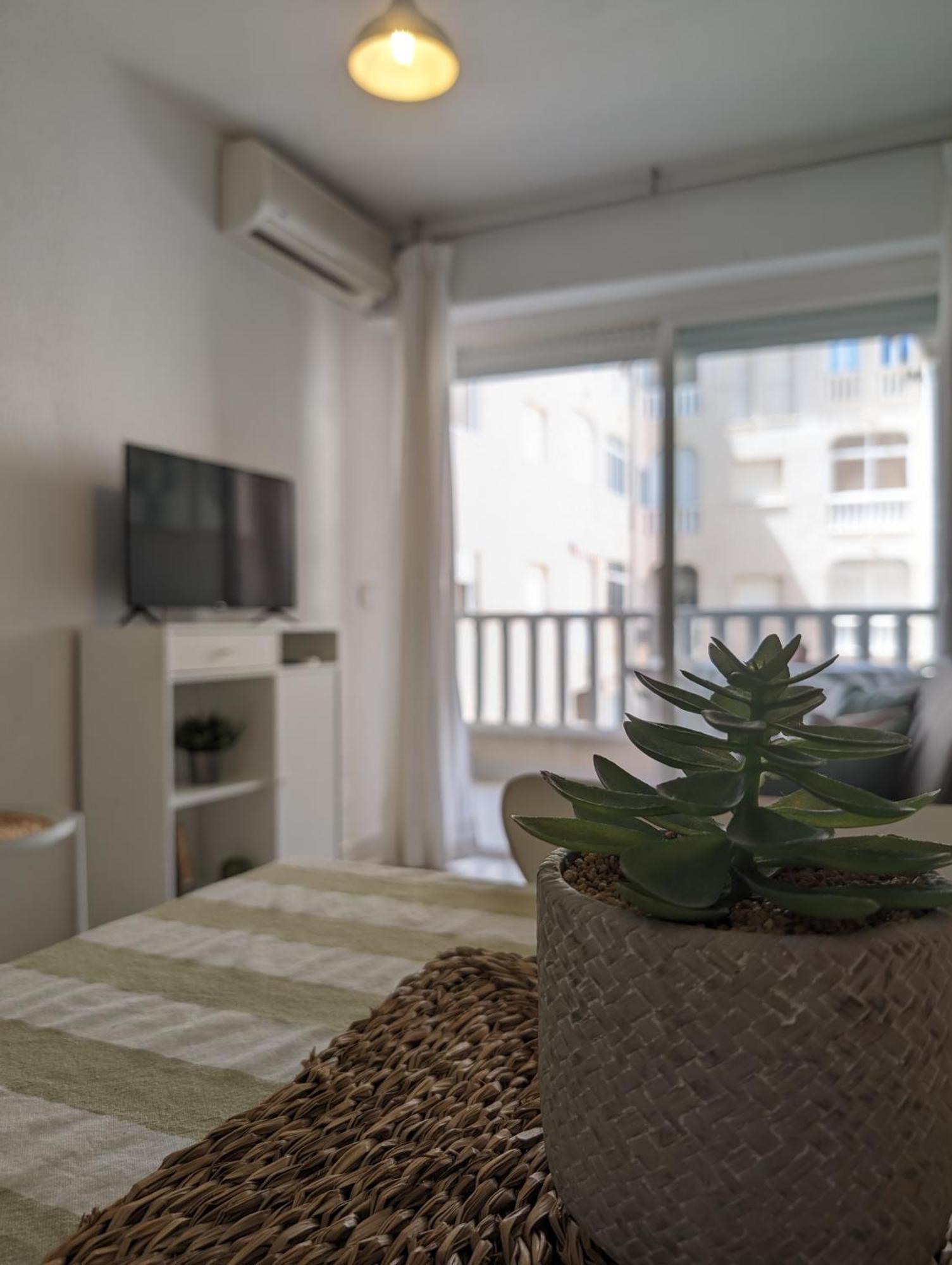 Torreviejaplace Luaran gambar